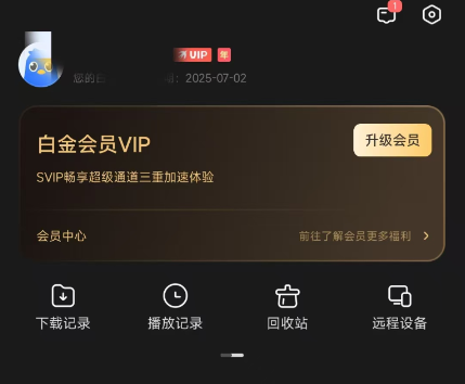 迅雷官方绿色本地会员版，不限速下载！-爱玩