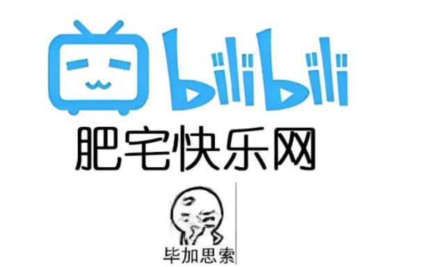 bilibili8.55魔改版✨内置漫游模块✨解锁大会员4k画质✨-爱玩