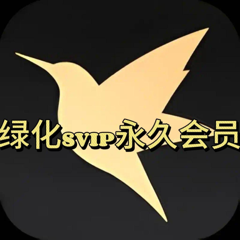 迅雷XG版 已经绿化SVIP 解锁SVIP会员特权,内置会员模块,-爱玩