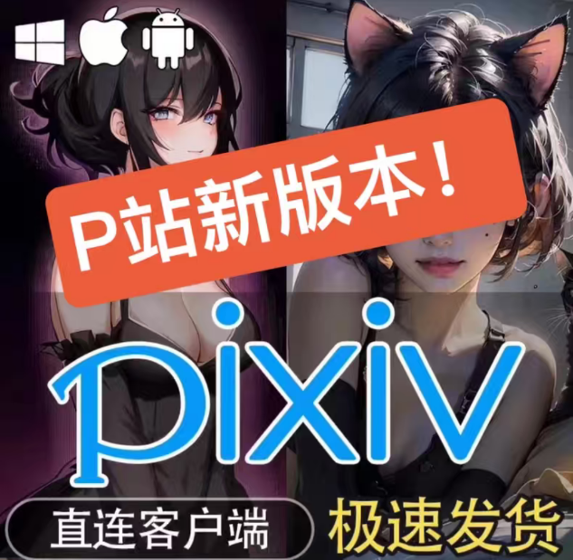 最新版 Pixiv/P站   最强版本 第三方pix助手-爱玩