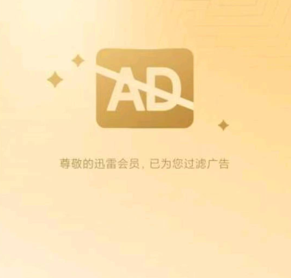 迅雷官方绿色本地会员版，不限速下载！-爱玩